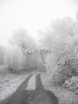 冬天,霜,冷