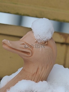 冬天,雪,鴨