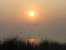 morgenstimmung,太陽,黃色