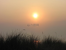太陽,上午,日出