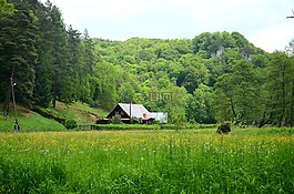 山寨,森林,草甸