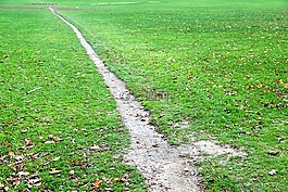 離,路徑,草地