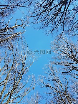 天空,藍(lán)色,明確