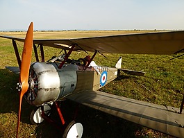 模型,飛機,索普威思