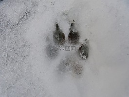 雪,追蹤,再版