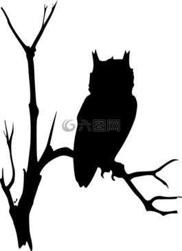 貓頭鷹,分支機構(gòu),樹