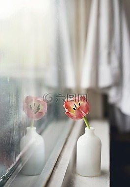 花,花瓶,室內(nèi)