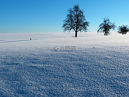 雪,痕跡,冬天