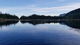 阿拉斯加州,海洋,风景