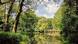 湖,植物园,alcsút