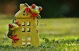 青蛙,首頁,滑稽