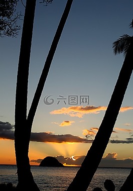 马提尼克岛,日落,海滩