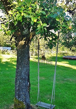 擺動(dòng),花園秋千,兒童搖擺