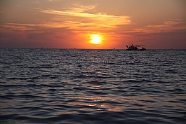 海,發(fā)光,暮光之城