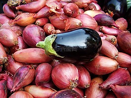 茄子 hagymaágyon,蔬菜,食品