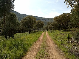 农村公路,行走,路径