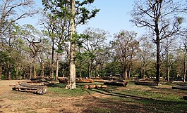 日志記錄,林業(yè),木材
