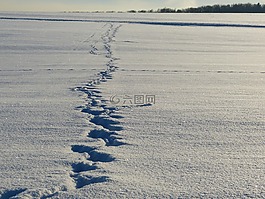 冬天,雪,痕跡