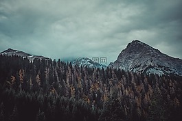 山,高原,多云