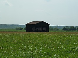谷倉,夏季,草