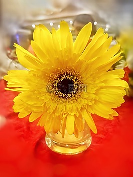 向日葵,花,鍋