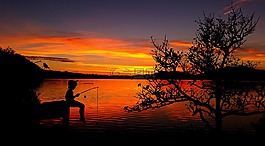 孩子,男孩,魚