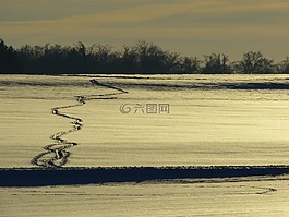 寒冬,冬天,雪