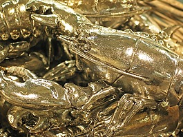 金屬,癌癥,裝飾