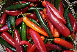 食品,辣椒,蔬菜