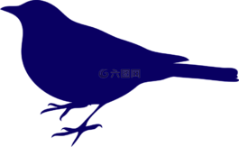 黑鳥,藍(lán)色,側(cè)影