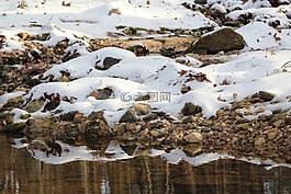 雪,冬天,冷