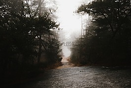 黑暗,霧,戶外