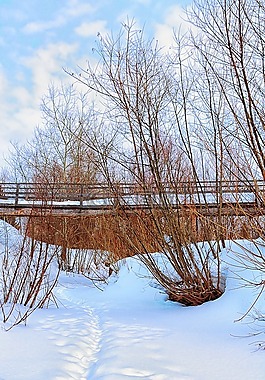 冬季,橋,河