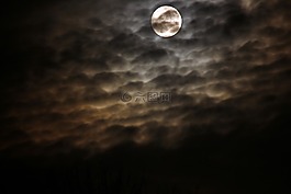 夜,滿月,云