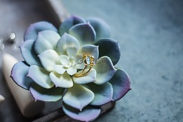 圓環,金,天然石材