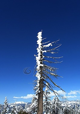雪,塞拉利昂,山