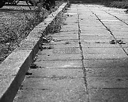 路面,路徑,步行