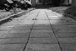 路面,路徑,步行