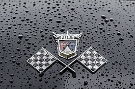福特,車,釀酒