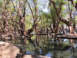 湖,性質(zhì),美