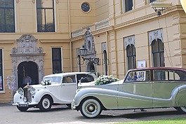 老車,婚車,汽車