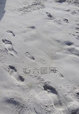 足跡,沙,海灘