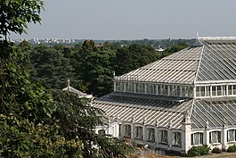 倫敦,英格蘭,基尤花園