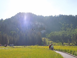 太陽,徑,路徑