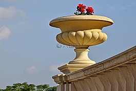 天空,花瓶,花