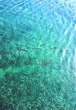 海,水,希臘