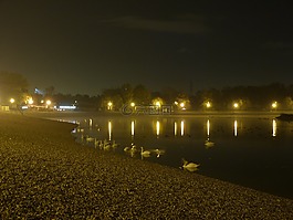 湖,水,海灘