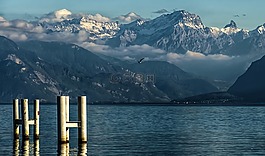 景观,温特斯,雪