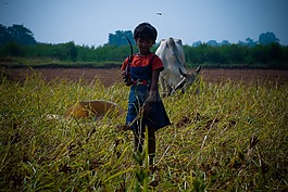 小,女孩,動物