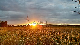 黎明,太陽,景觀